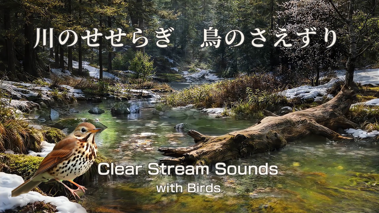澄んだ川のせせらぎと鳥のさえずり｜森に溶ける透明な水音（睡眠・リラックスに）
