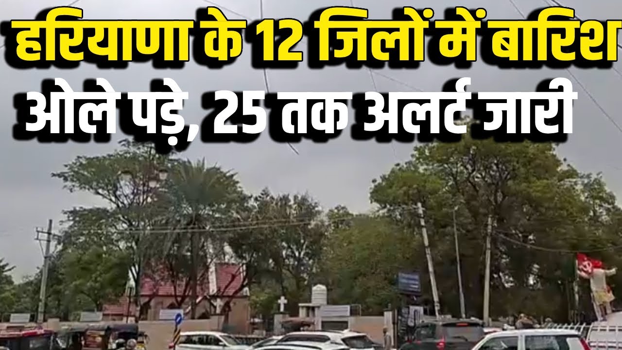 Weather Update :Haryana में बारिश से बदला मौसम | 12 जिलों में बारिश ओले  कहां कहां पड़े | Weather