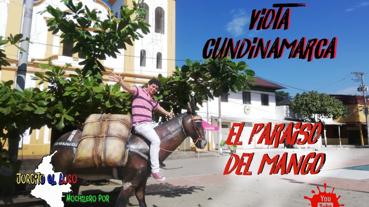 VIOTA CUNDINAMARCA el paraíso del mango