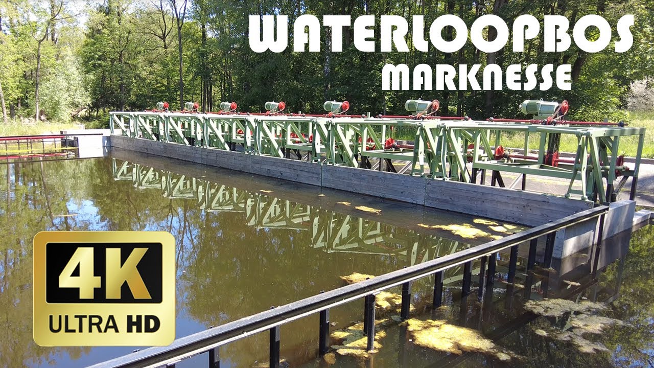 Waterloopbos, Marknesse || Весна 2021 года || 4K