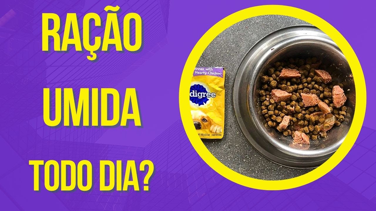 RAÇÃO ÚMIDA PARA CACHORRO FAZ MAL DAR SACHE TODO DIA CÃO NÃO QUER COMER E VOMITA SÓ COME COM MISTURA