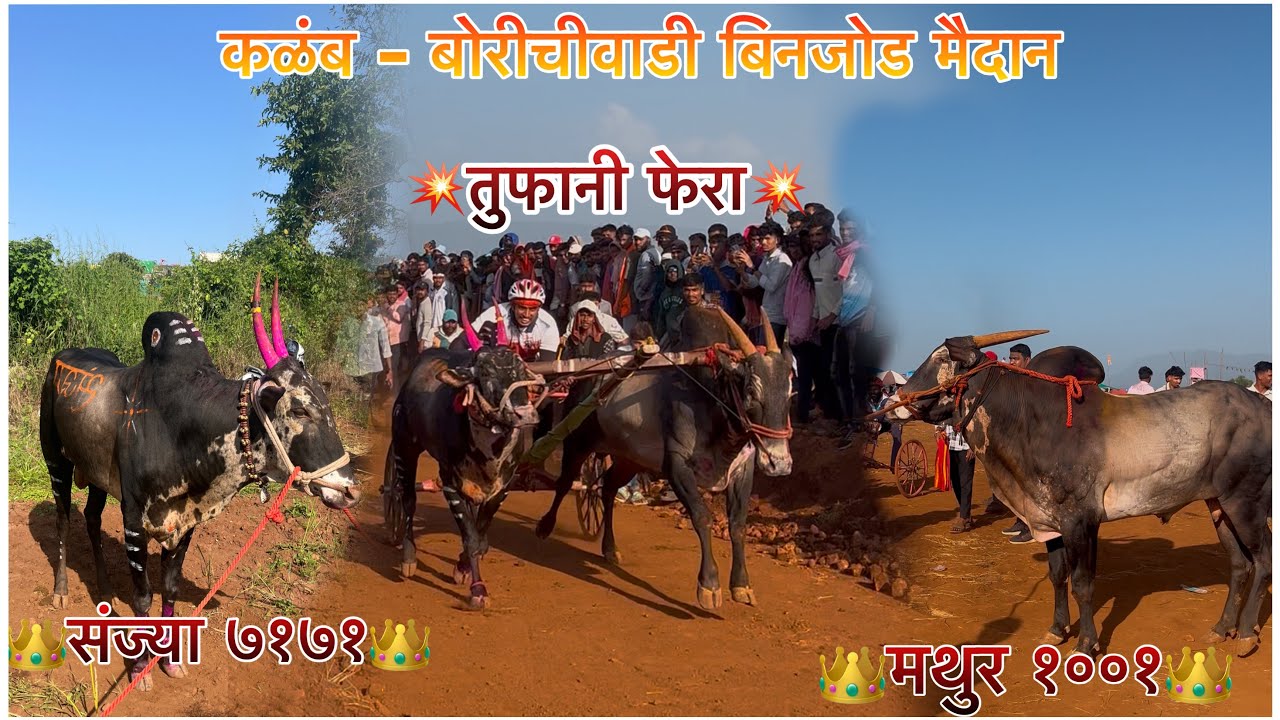मथुर 1001 आणि संज्या 7171 तुफानी फेरा 💥👑 कळंब - बोरीचीवाडी बिनजोड फाटी 🚩संपुर्ण मुलाखात 🎤#mathur1001