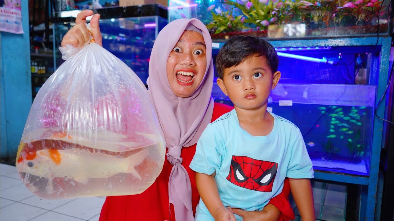 AZAM BELI IKAN KOI BESAR 😱 BUAT ISI KOLAM BESAR 