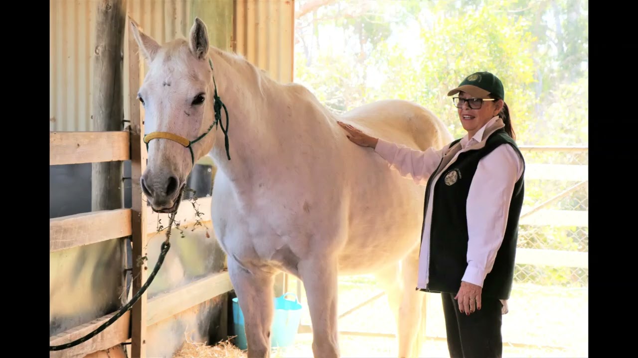 Making a documentary on Animal Bowtech EMRT CCmrt