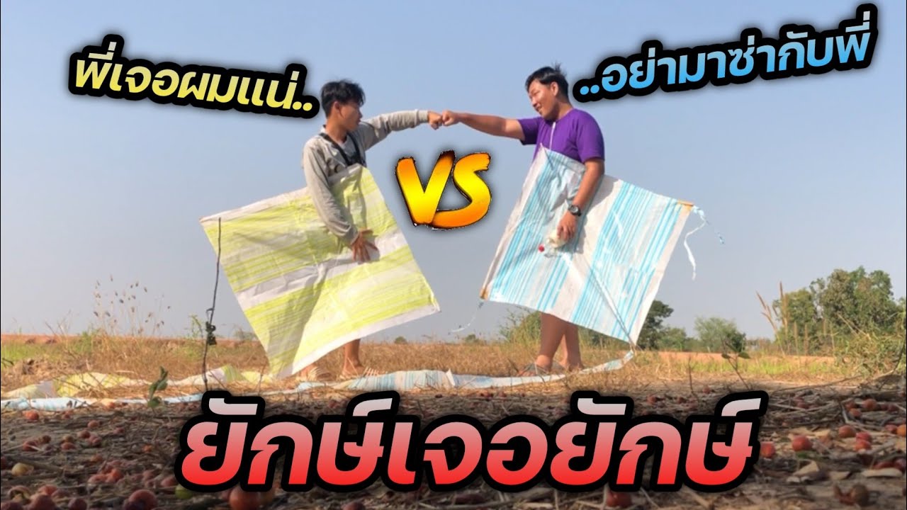 ว่าวยักษ์vsว่าวยักษ์ ช้างเจอช้างใครแพ้โดน?