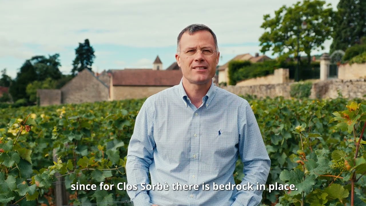 Presentation of Morey-Saint-Denis Premier Cru Clos Sorbè 2022 Vintage (4/2024)