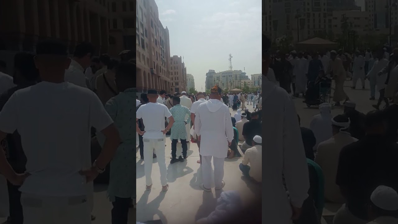 ٦ فبراير ٢٠٢٦