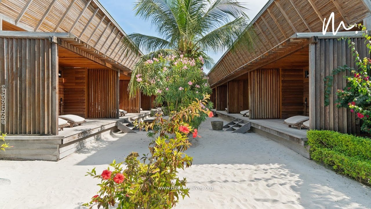 The Barefoot Eco Hotel - B2B Maldives | World's Top Leading DMC for Maldives