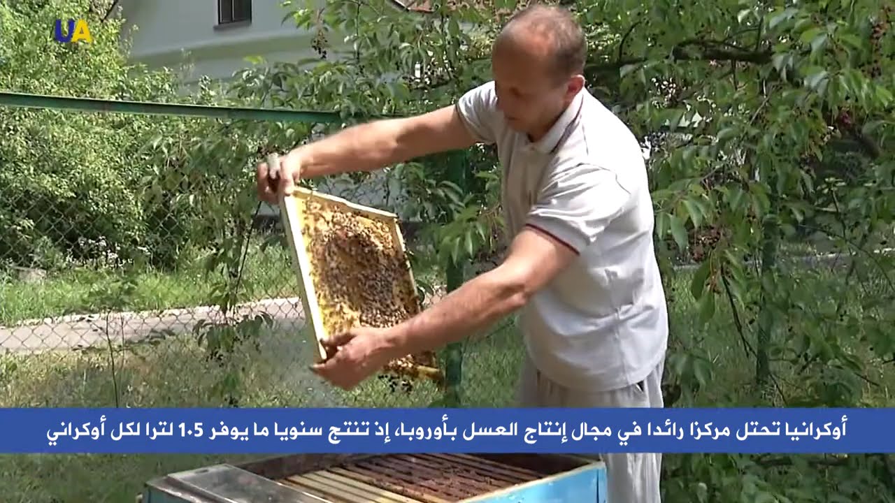 أوكرانيا تتفوق بإنتاج العسل في أوروبا