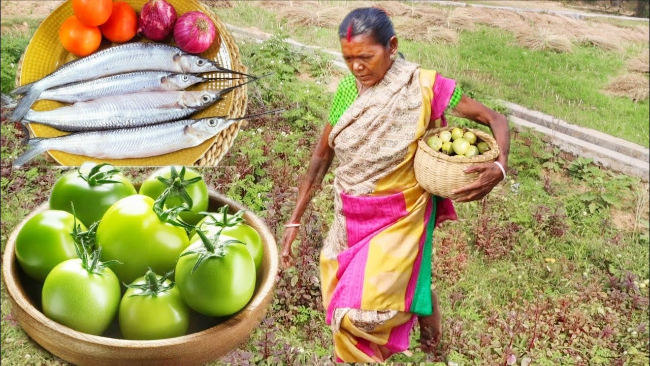 NIDDLE FISH CURRY with GREEN TOMATO cooking & eating by santali tribe grand maa