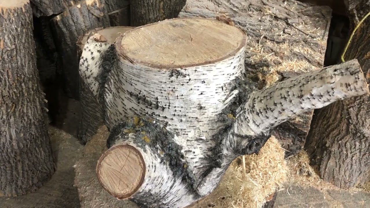 Woodturning (Ep. 8) - Birch Log to a Vase With Some Feet
