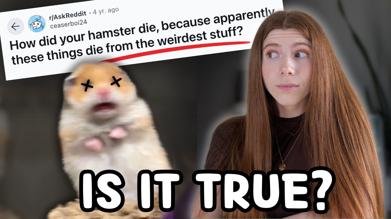 Do Hamsters Only have Horrific deaths?!?