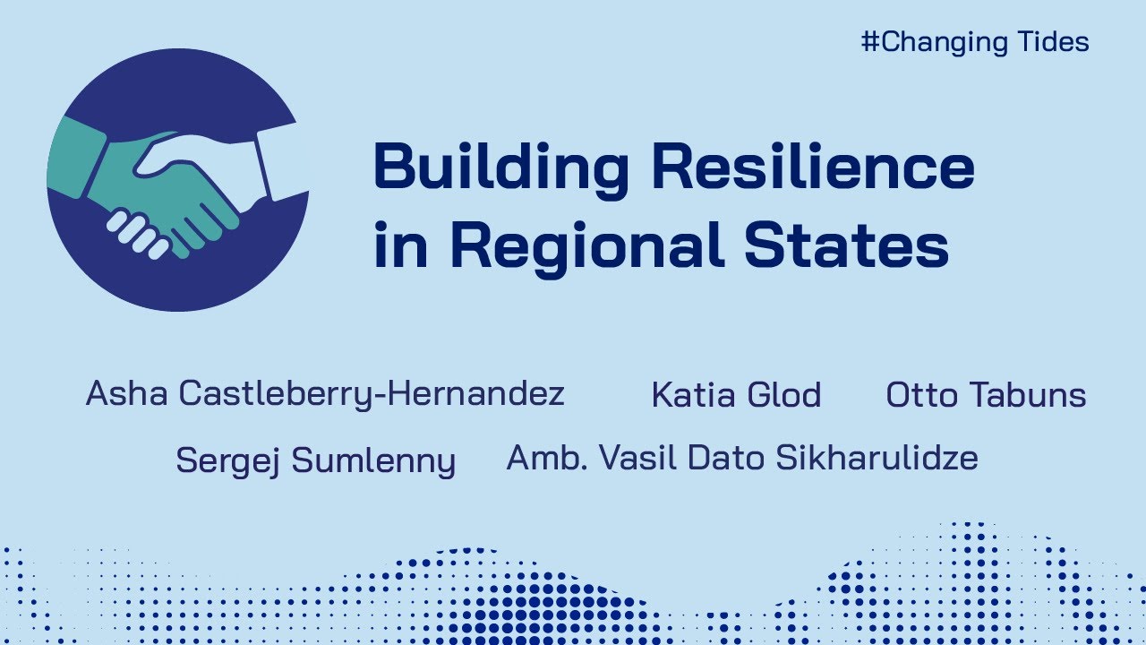 Changing Tides in the Black Sea Region: Building Resilience in Regional States