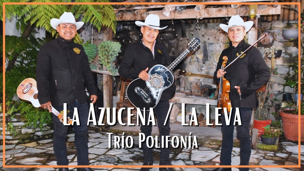 Trío Polifonía - La Azucena y La Leva