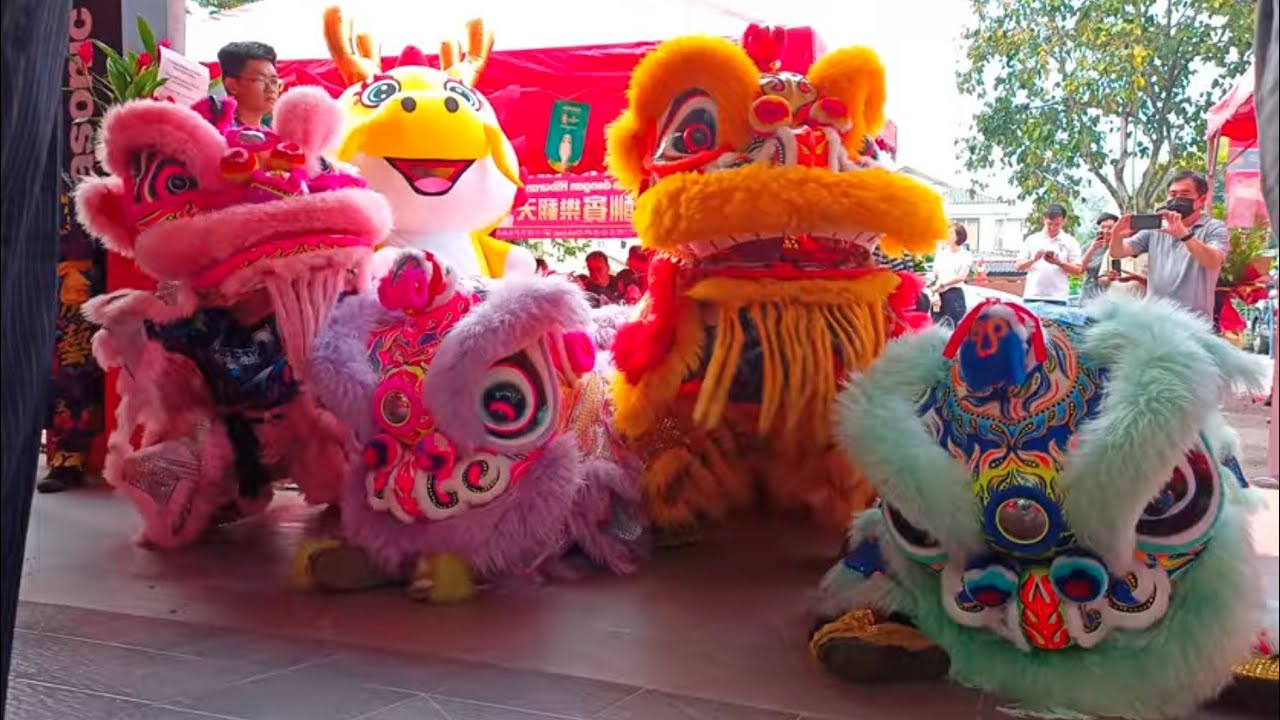 Colorful Traditional Lion Dance went to electrical shop with Choy San Yeh