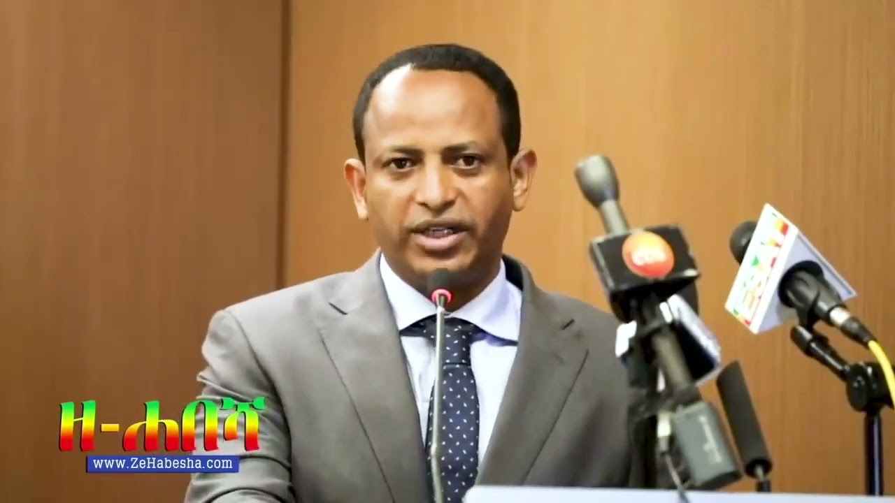 Zehabesha reports on Grand African run