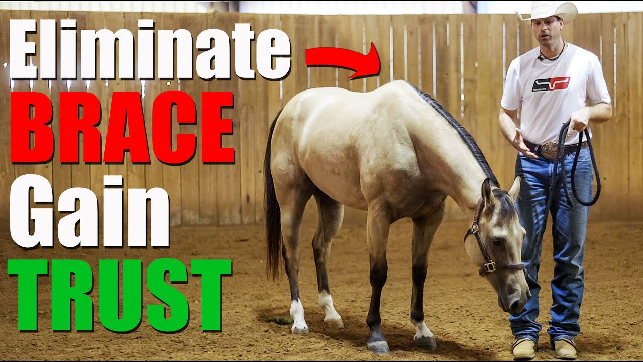 First Steps To Prevent Horses From Bracing (Stiffening Up)