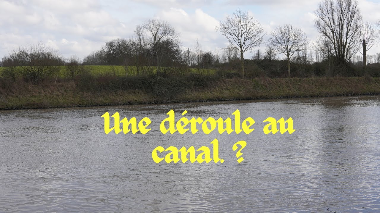 Pêche de la carpe en canal à grand gabarit 🎣 Vol 3