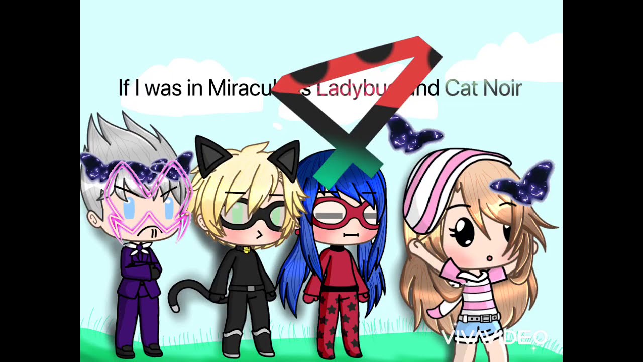 If I was in miraculous ladybug and Catnoir/the last episode