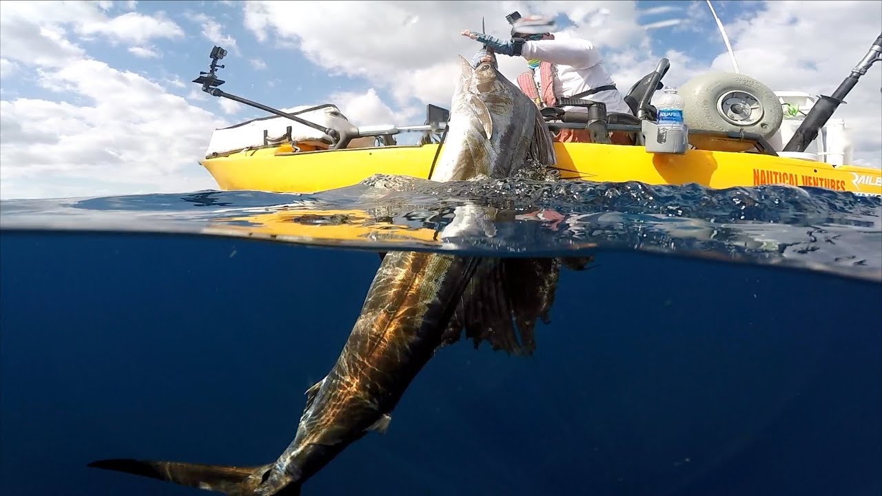 TAMING the FASTEST Fish in the OCEAN- Catch n Cook - Ft. Deep Blue Kayak Fishing + Robert Field