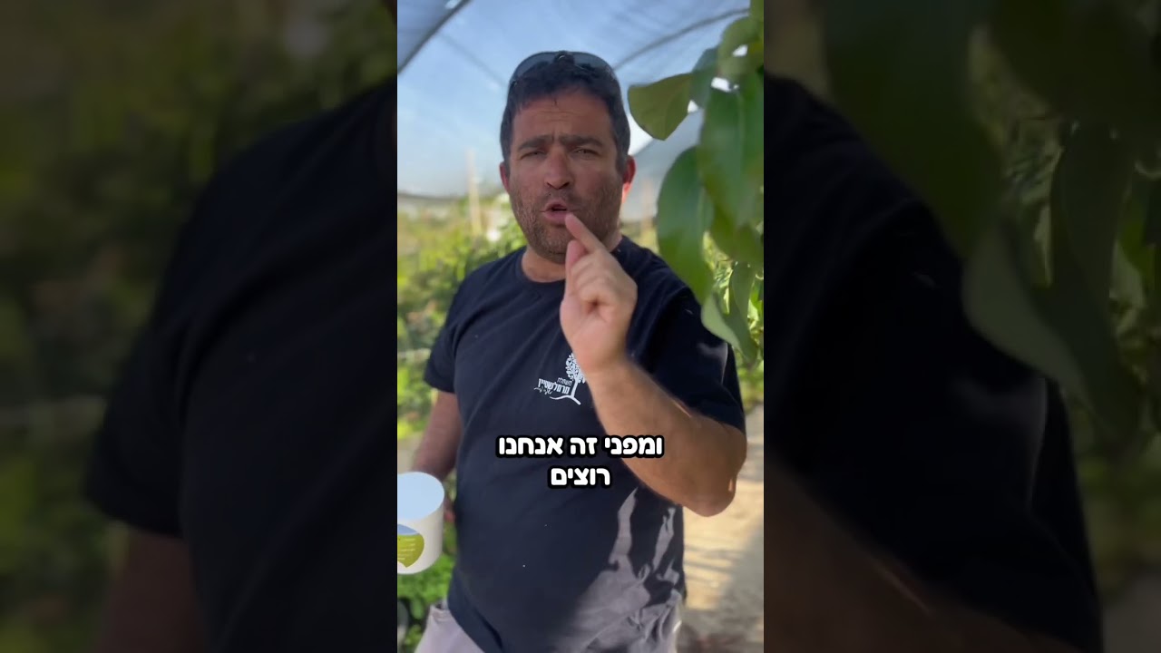 לפעמים כל מה שהעץ הצעיר שלכם צריך בשביל להתפתח ולעשות קפיצה זה לצבוע לו את הגזע