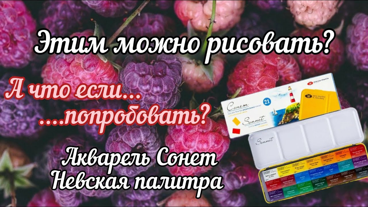 Отличный результат за копейки? Советую акварель Сонет начинающим Обзор выкраска #drawing #watercolor