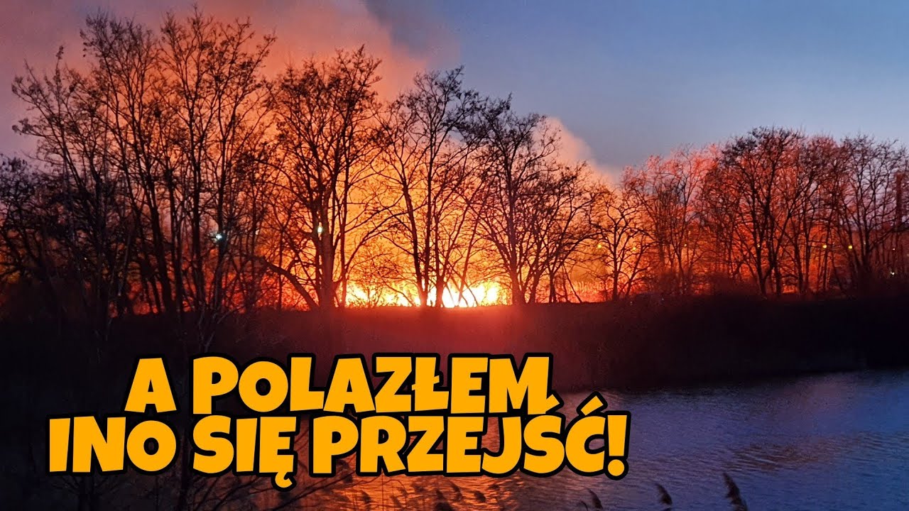 Taki SPOKOJNY DZIEŃ a jaki FINAŁ! Odc.640
