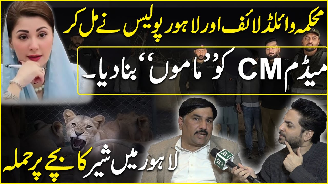 Wildlife Kay DG Ko Ohday Say Hata Dia | Bachay Ka Hath Shair Nay Khaya | Yasir Shami
