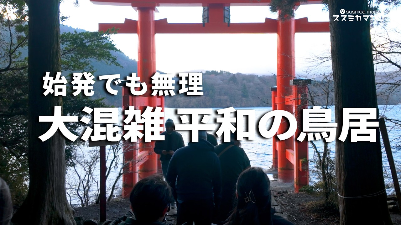 【箱根三社参り】早朝の箱根神社 平和の鳥居へ始発バスの旅 vlog 箱根旅行 旅遊