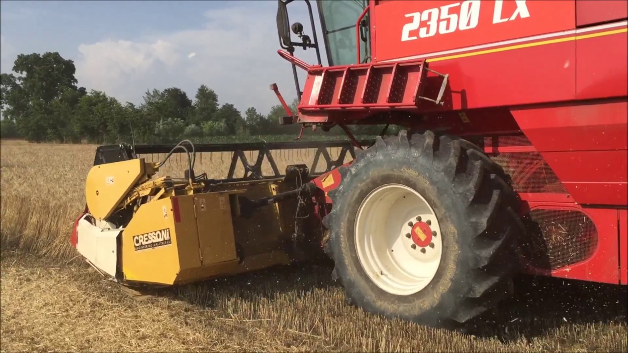 Laverda 2350 LX trebbiatura frumento