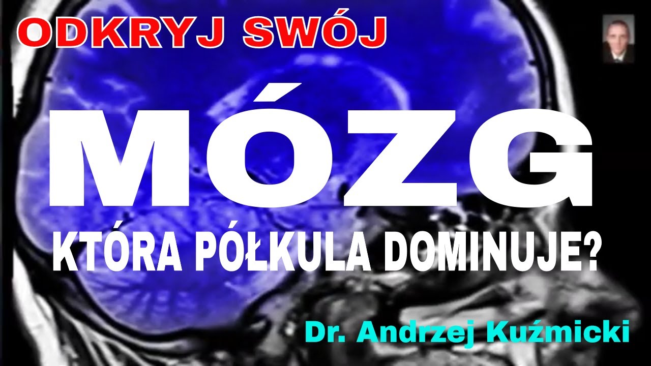 10+ punkt&oacute;w, jak rozpoznać, kt&oacute;rą p&oacute;łkulę m&oacute;zgu masz dominującą