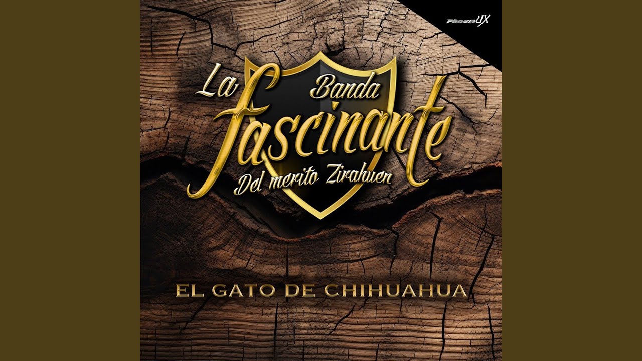 El Gato de Chihuahua