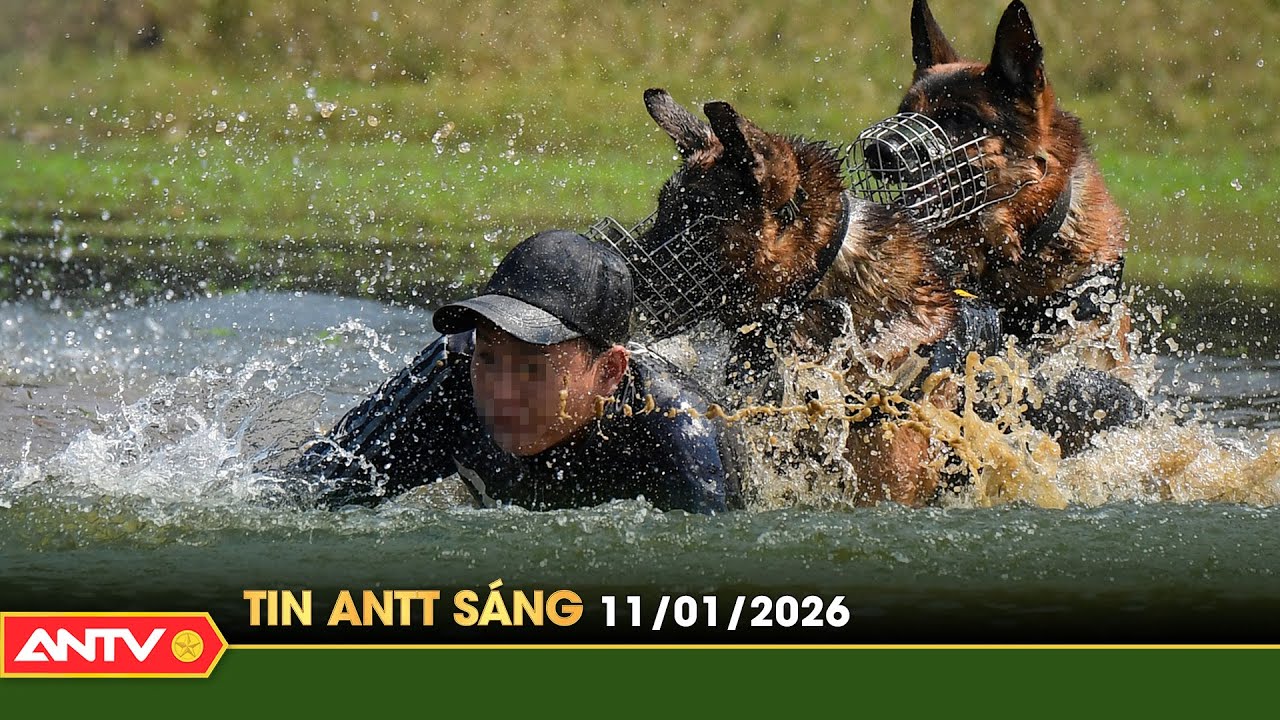 Tin tức an ninh trật tự nóng, thời sự Việt Nam mới nhất 24h sáng 11/1 | ANTV