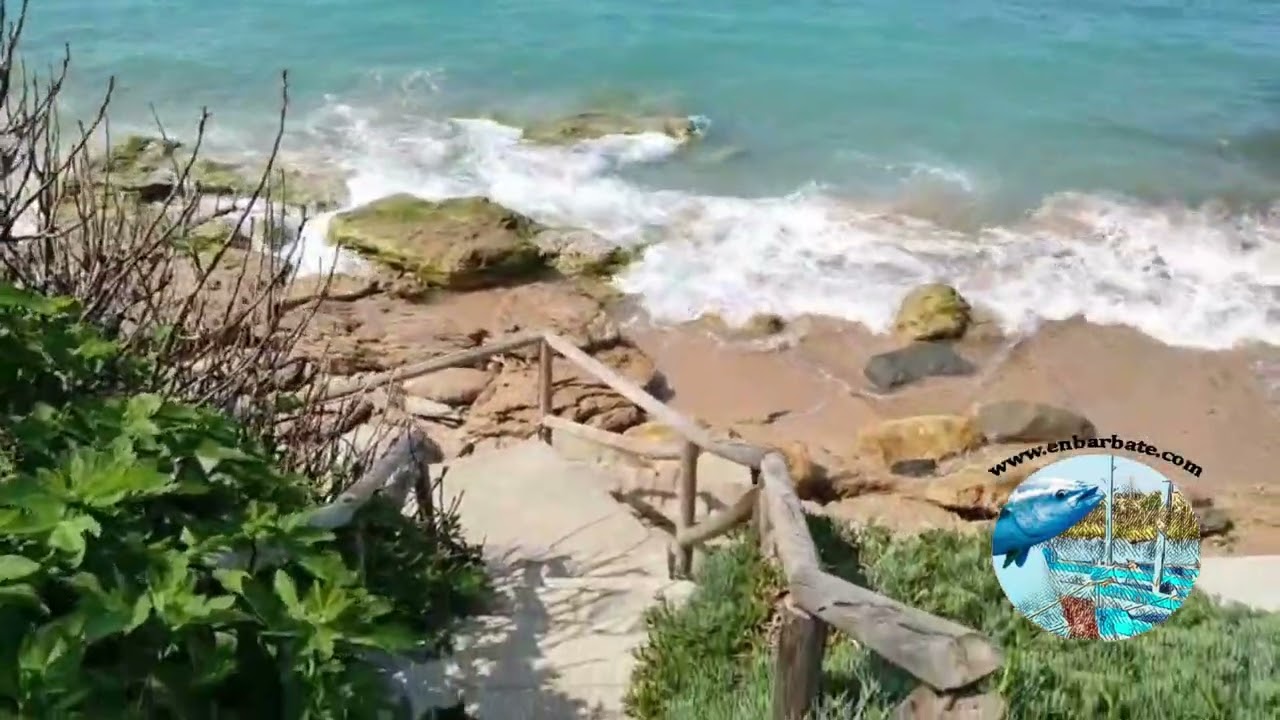 La playa de Los Caños de Meca a 4 de junio de 2025