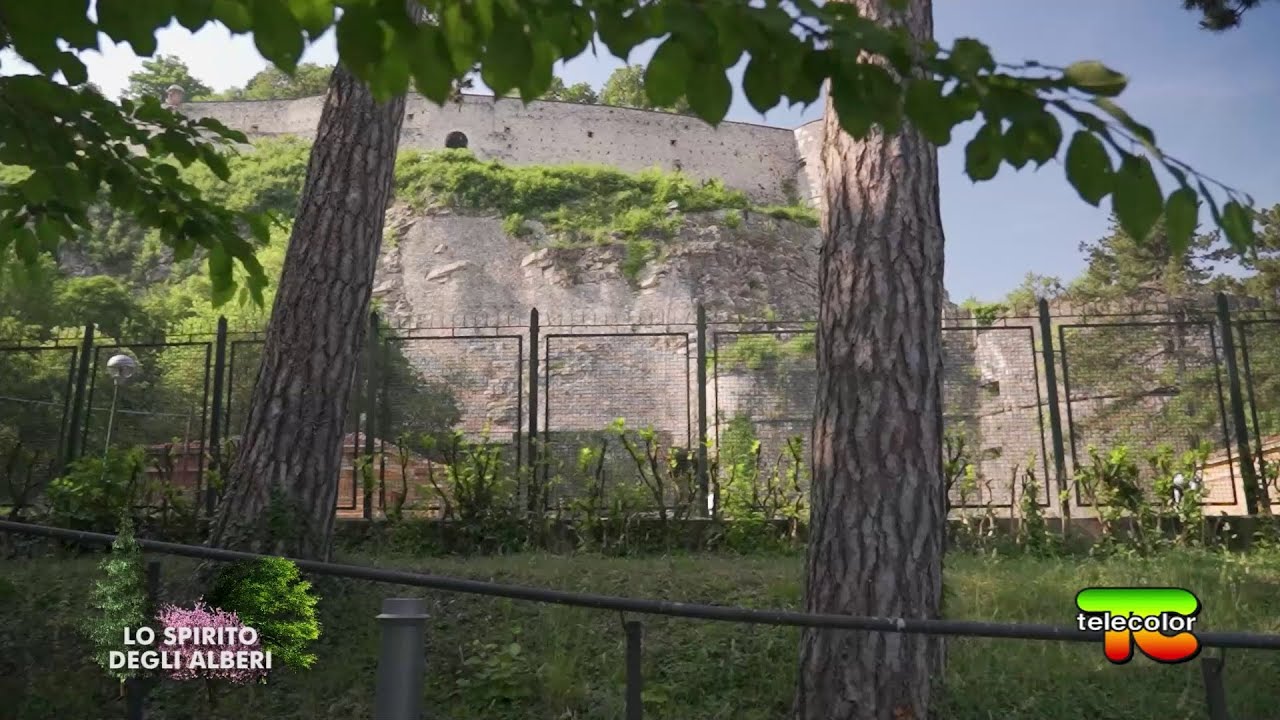 Lo spirito degli alberi: ORTO BOTANICO al Castello di Brescia 20.05.2022