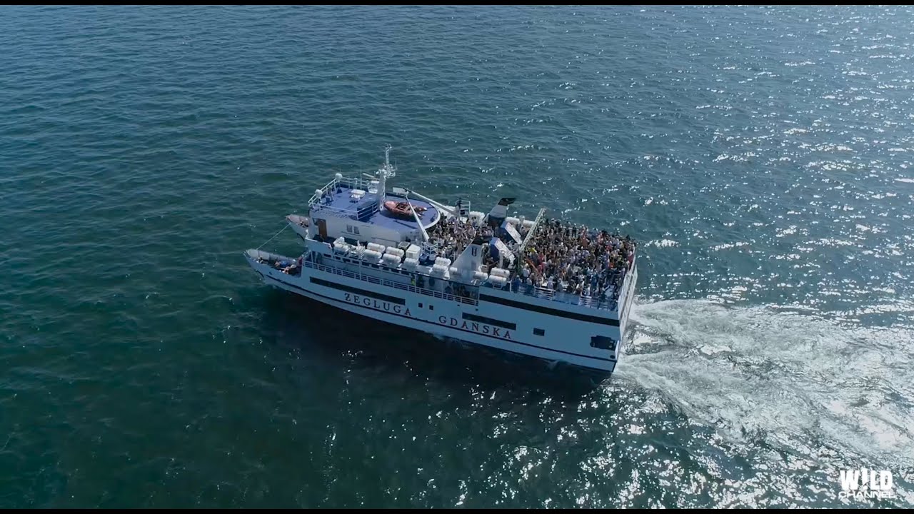 Glasse dj set @ Big Boat Party - Gdynia [14.07.2019]