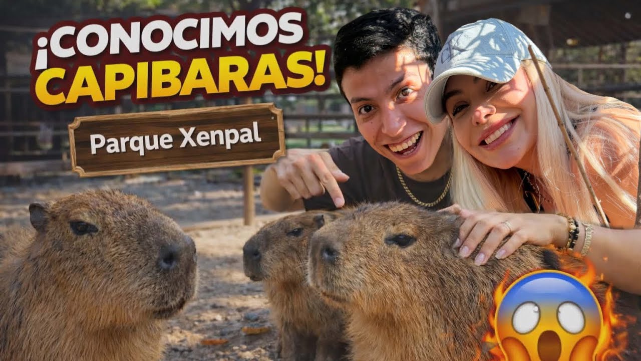 CONOCEMOS los famosos CAPIBARAS en Xenpal en García Nuevo León! 😱❤️