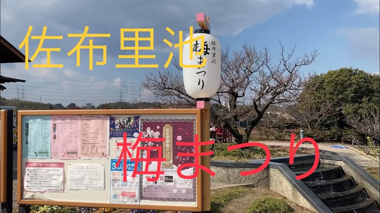 佐布里池【梅まつり】