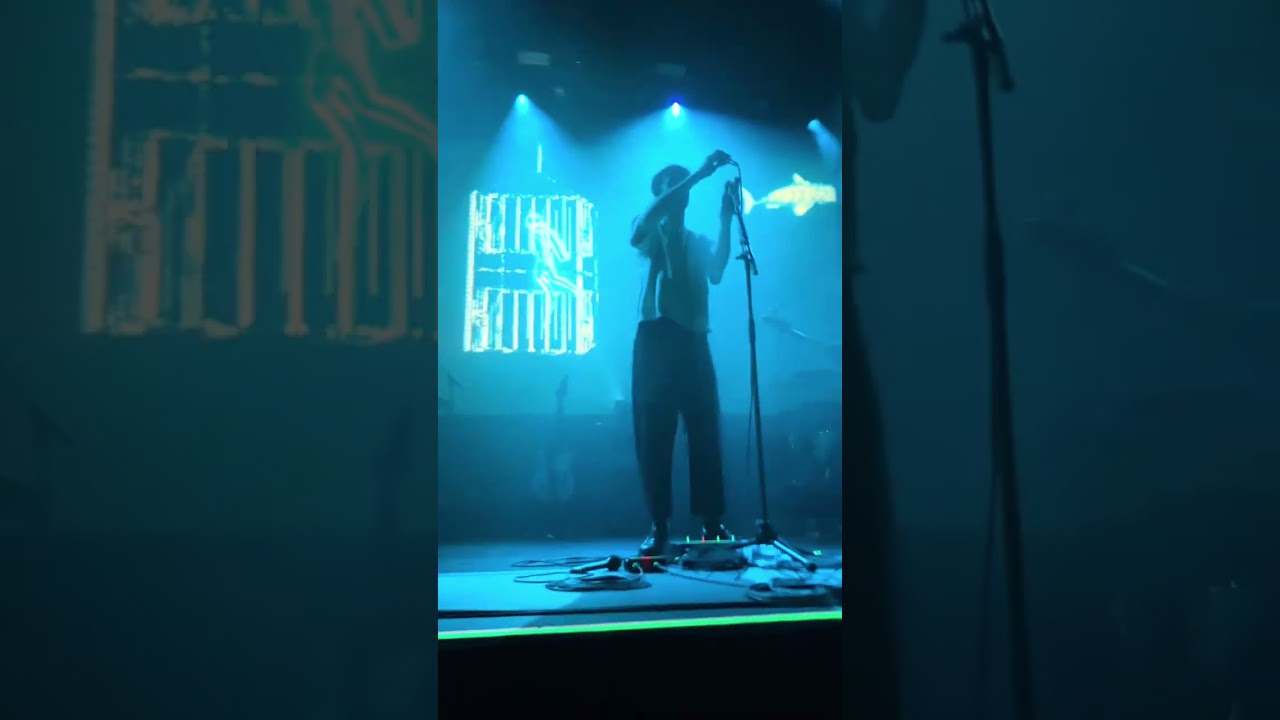 Every video I have from lovejoy on 10/29/2025!!