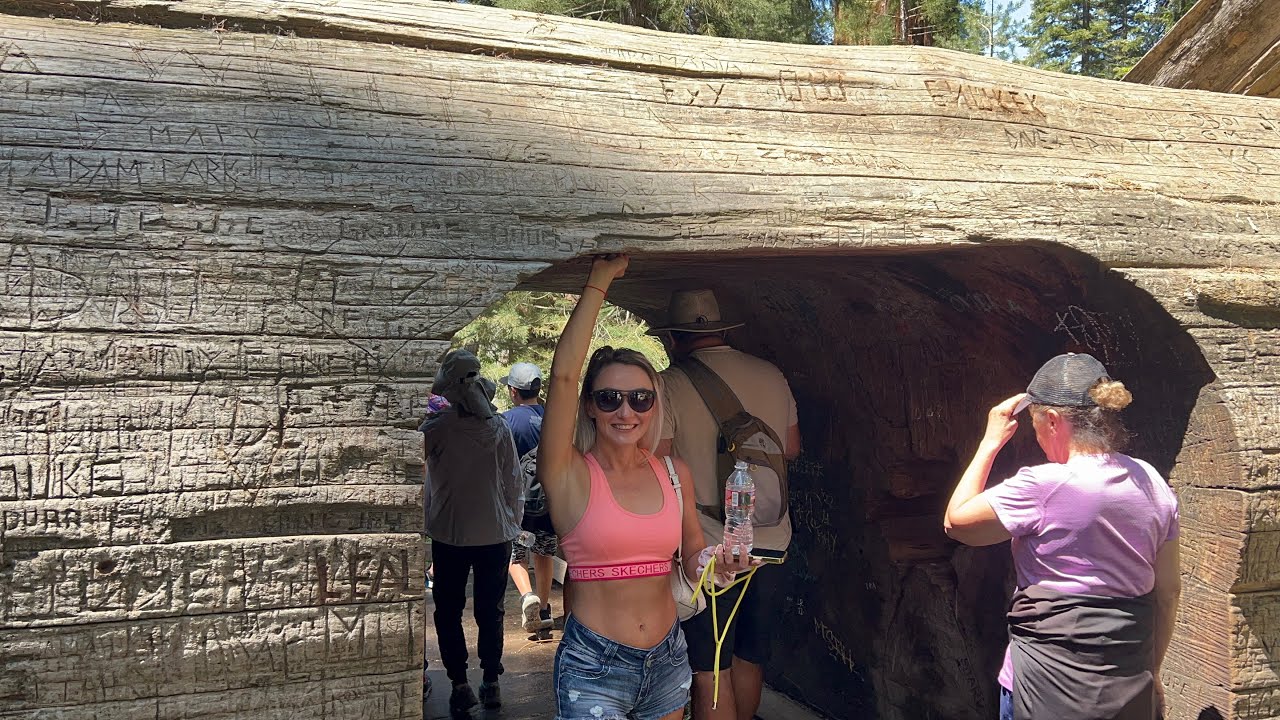 Sequoia National Park/ Секвойя парк