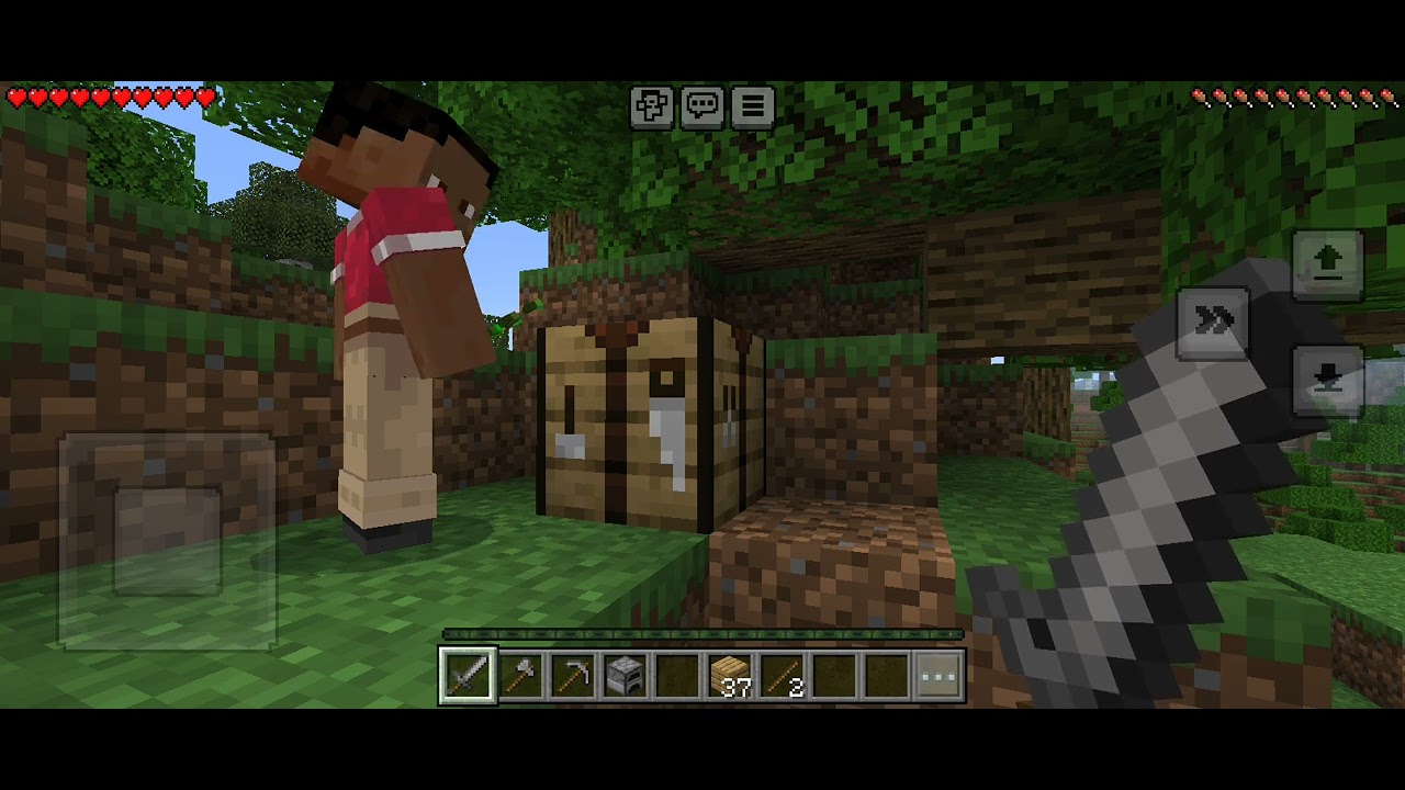 Con mi amigo en Minecraft 