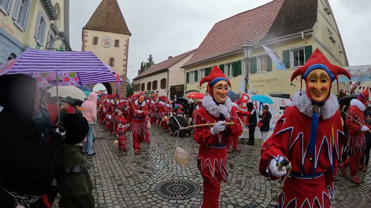 Fasnetumzug Endingen am Kaiserstuhl vom 16 02 2026