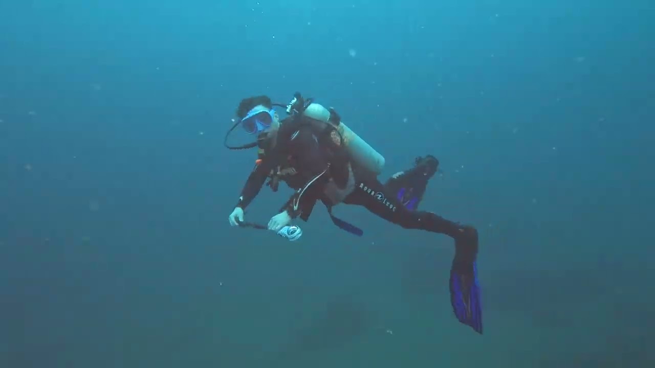 Sharkpoint & Secret salad Moyo island Indonesia