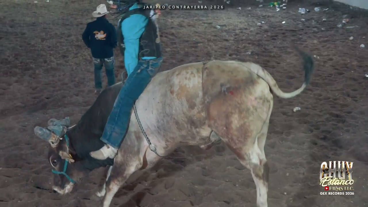 JARIPEO DE Contrayerba - ENE-2026 en la actuacion de los PUMAS DEL NORTE