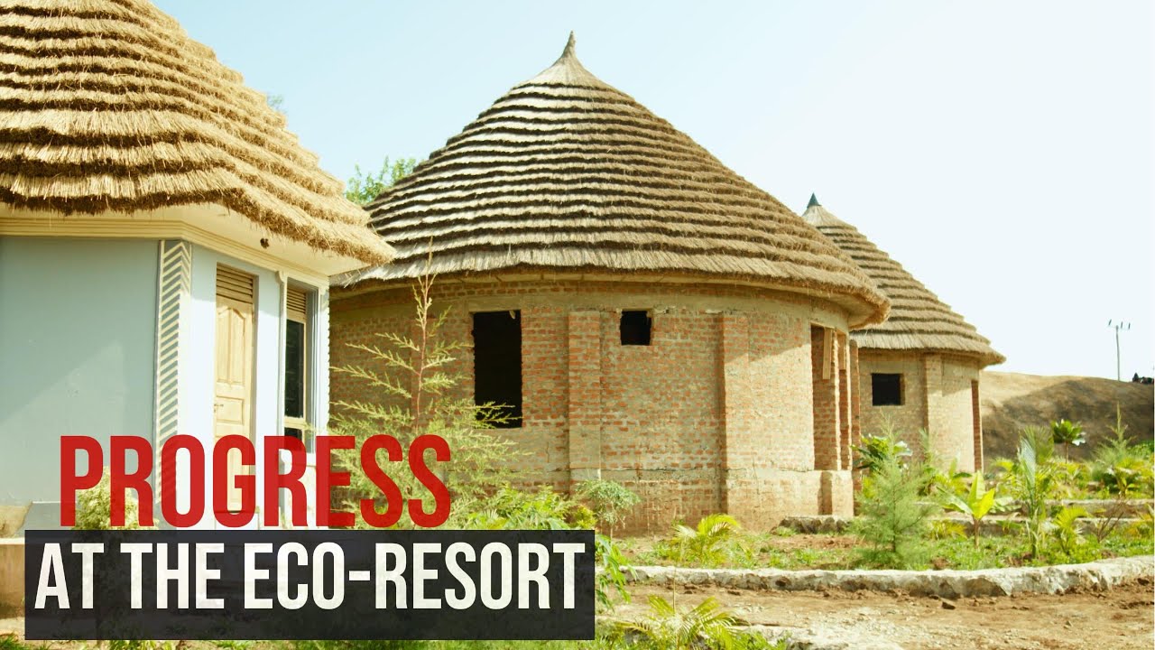 Amazing fast growing jungle at the eco resort!