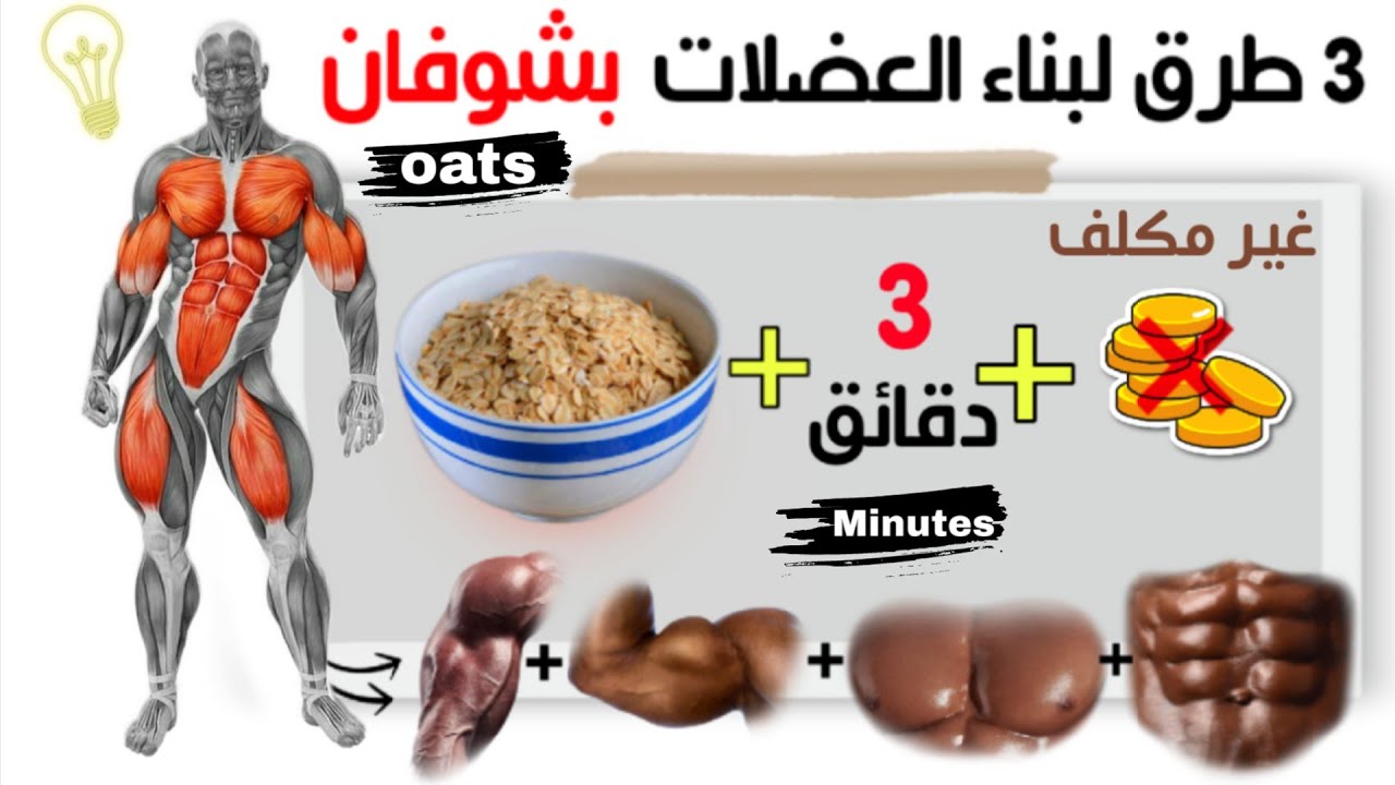 كيف تستعمل الشوفان بطريقة صحيحة !! لبناء العضلات - كمال الأجسام