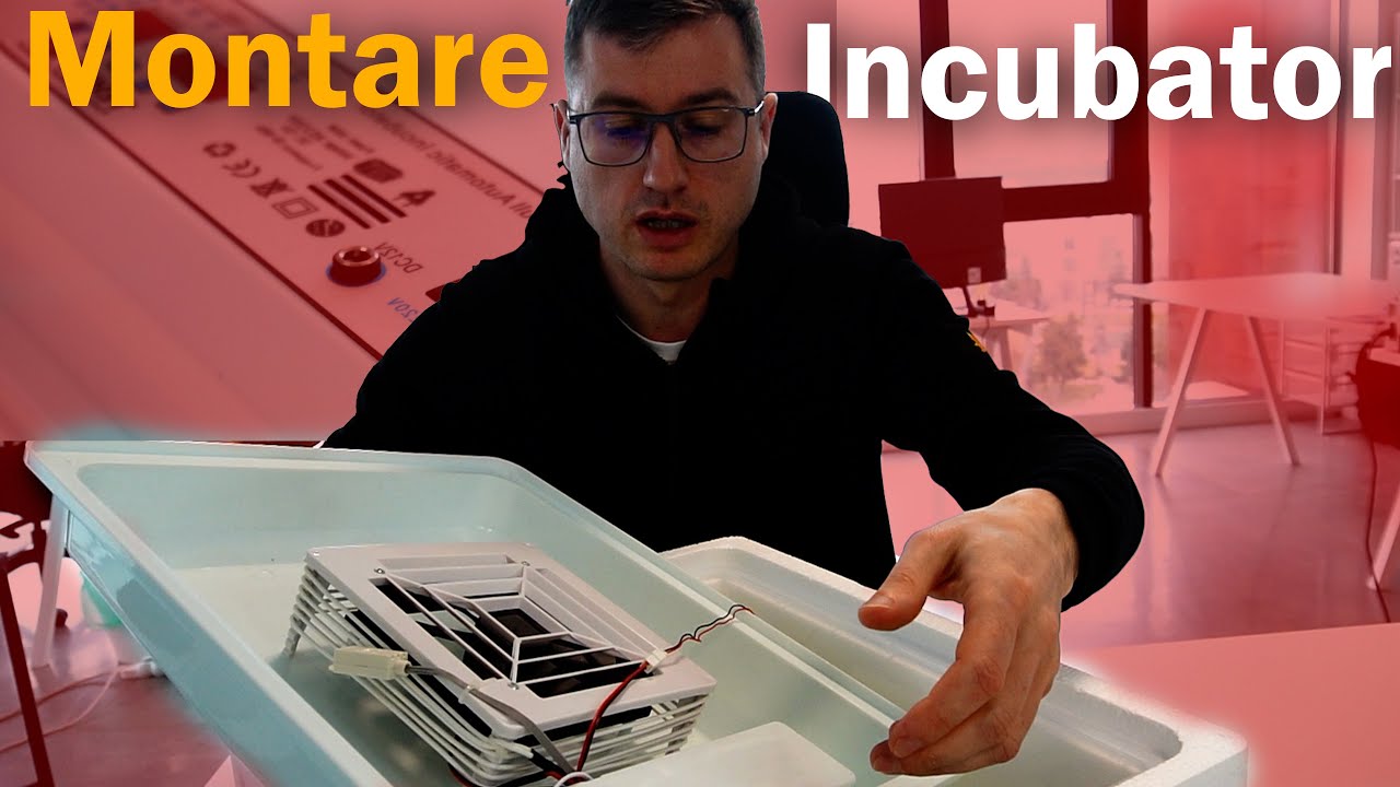 Montare Incubator 36 oua Tehno MS | Egg Incubator