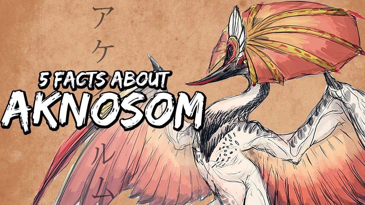 Monster Hunter Rise | 5 FACTS About Aknosom - MH Lore and Ecology