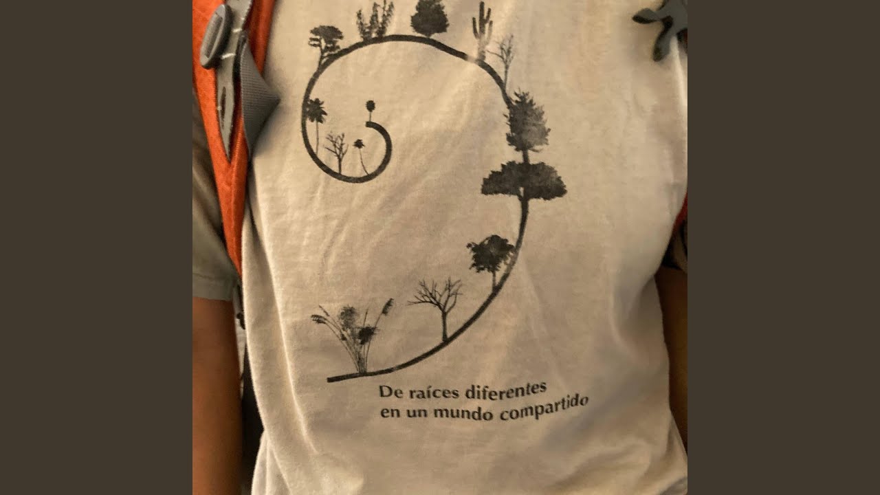 A dónde se van las arañas cuando no están en sus telaraña
