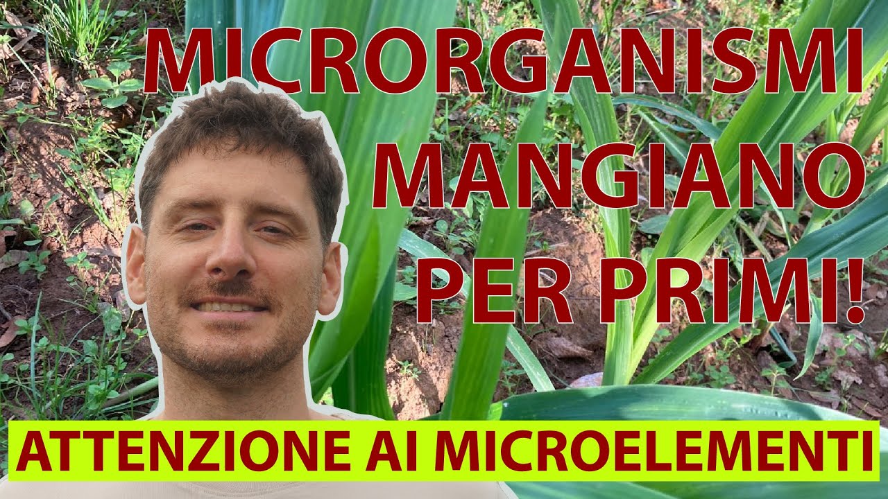 Microrganismi, microelementi e analisi del terreno